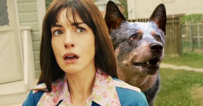 Anne Hathaway, dogs, The End of Oak Street