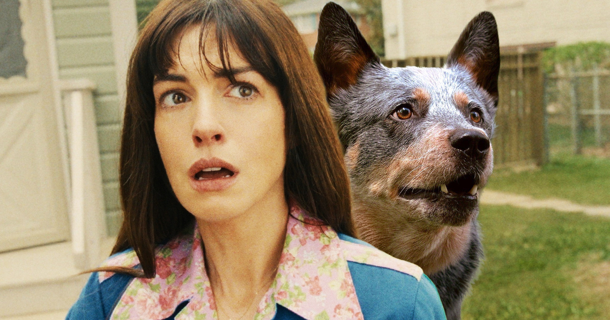 Anne Hathaway, dogs, The End of Oak Street