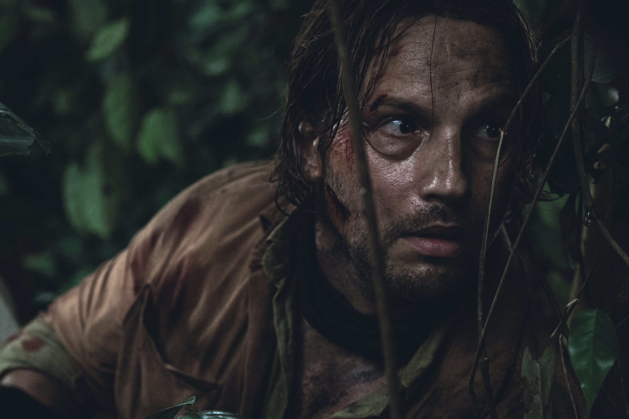A striking image of the Amazon jungle's dense foliage and looming shadows suggesting terrors within.