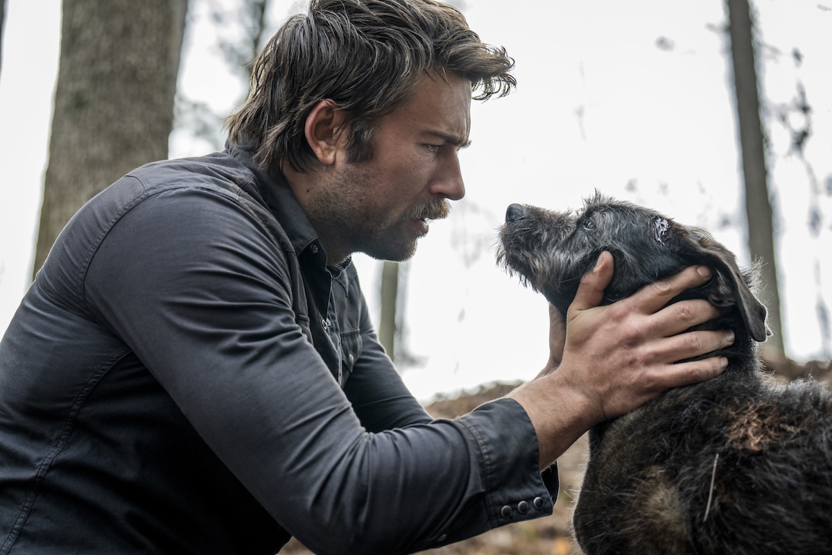 the rescue