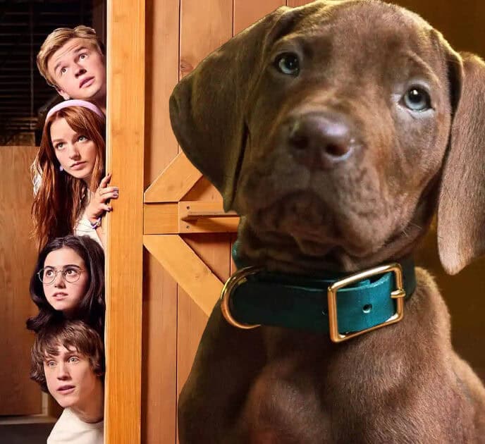 Scooby Doo Origins, Netflix