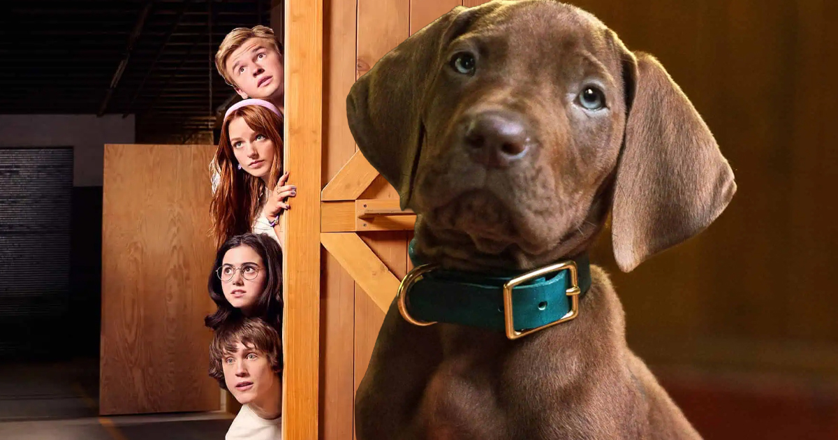 Scooby Doo Origins, Netflix
