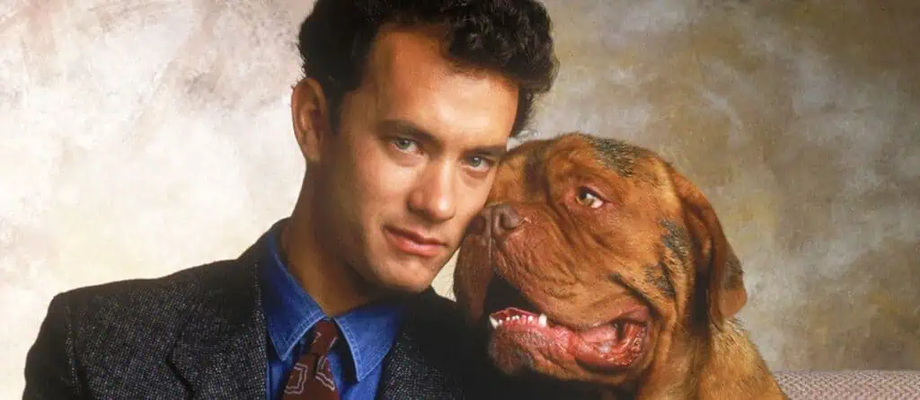 Turner and Hooch